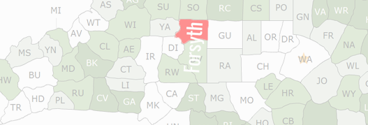 Hunt Forsyth County Public Vital Court Data North Carolina